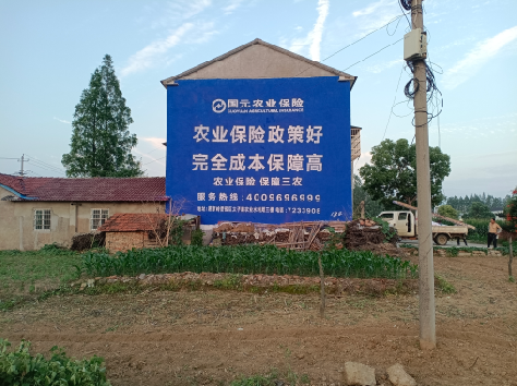 南充墙体广告的优劣势你知道吗？